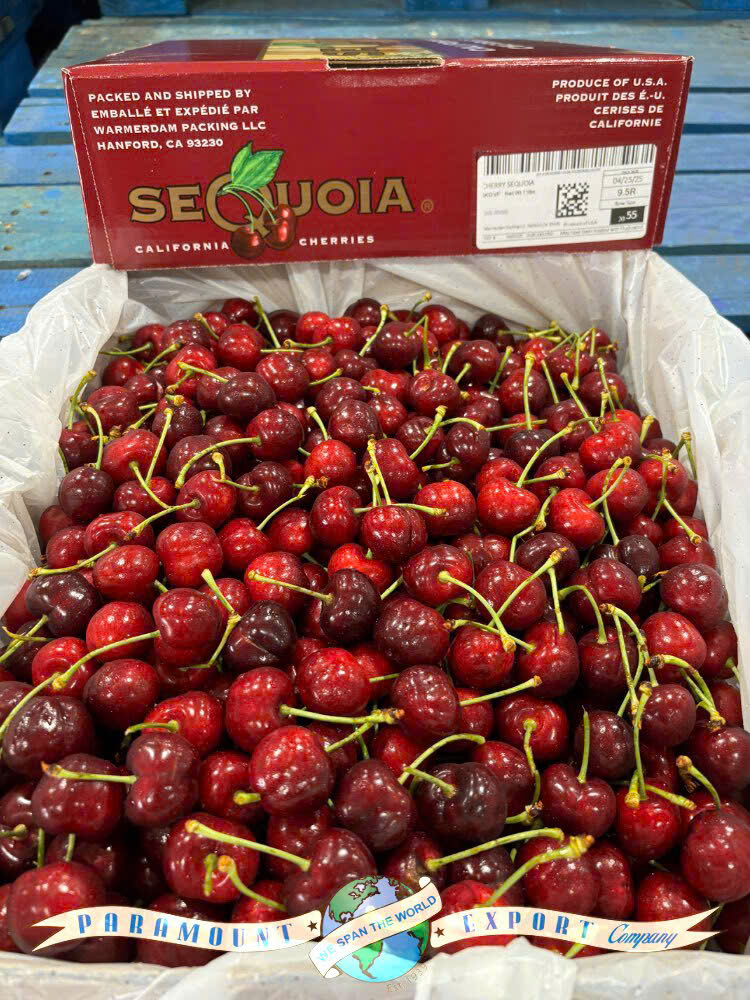 Cherry Mỹ đầu mùa